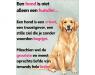 00ahond is niet.jpg